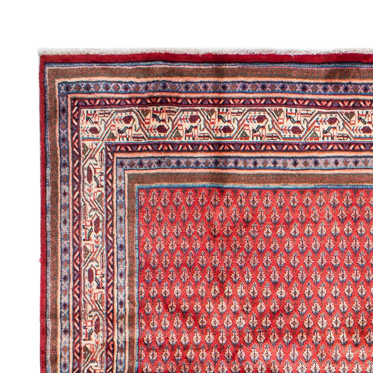 Tapis persan - Mir - 317 x 219 cm - rouge