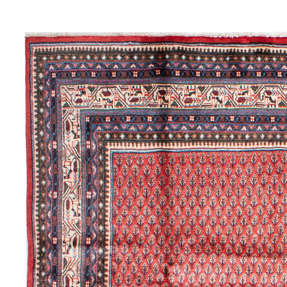 Tapis de Mir Tapis 215x315cm - Tapis persan