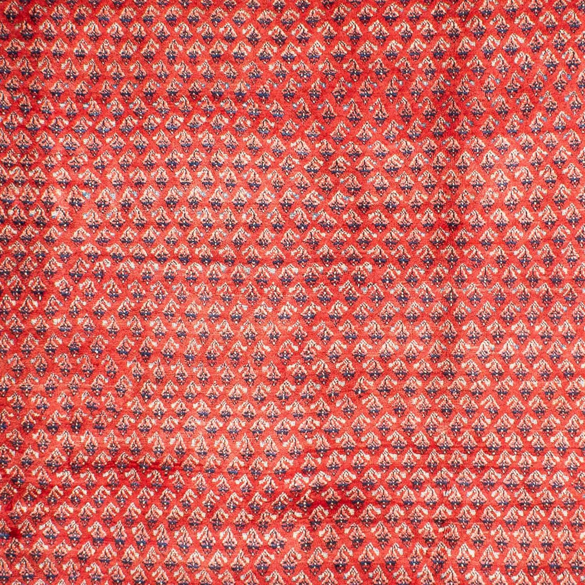 Tapis persan - Mir - 316 x 220 cm - rouge