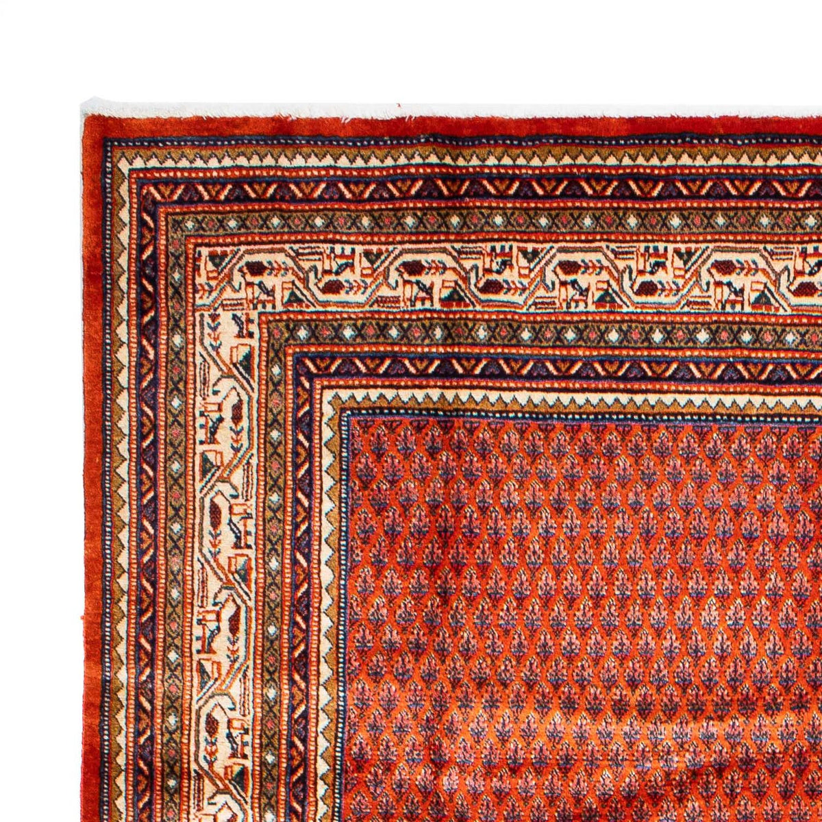 Tapis de Mir Tapis 212x313cm - Tapis persan