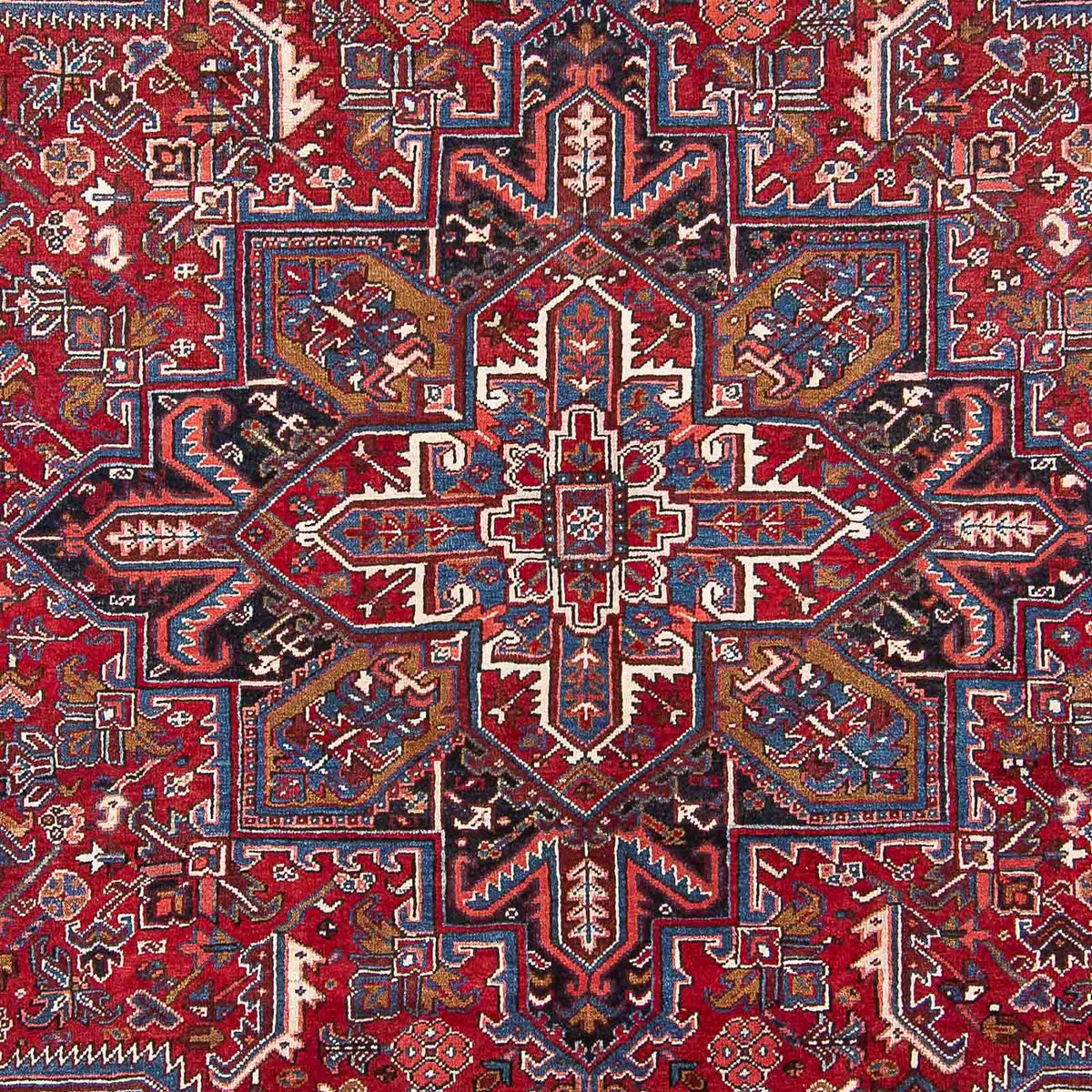 Tapis persan - Nomadic - 313 x 250 cm - rouge
