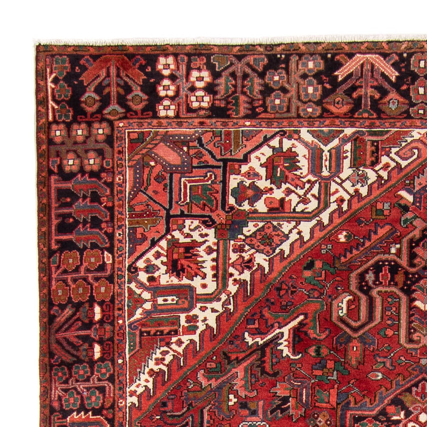 Tapis de Heriz Tapis 343x233cm - Tapis persan