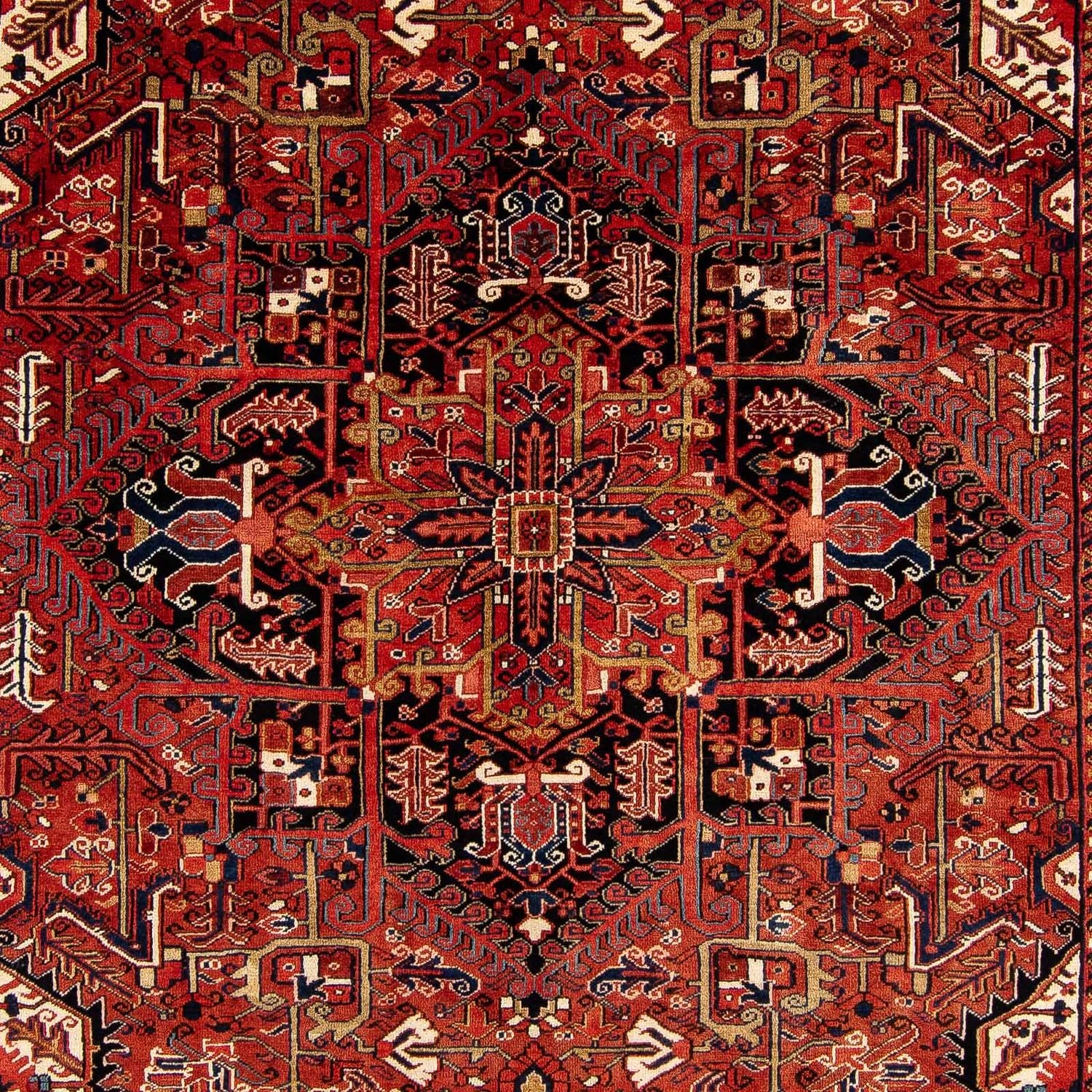 Tapis persan - Nomadic - 380 x 260 cm - rouge foncé