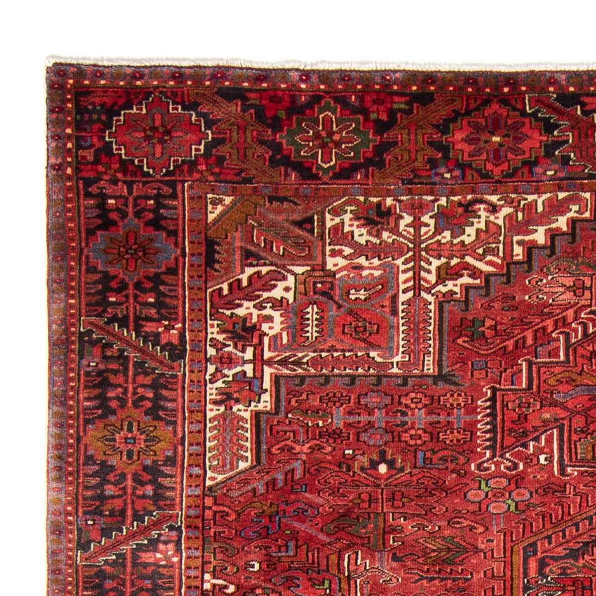 Tapis persan - Nomadic - 345 x 250 cm - rouge foncé