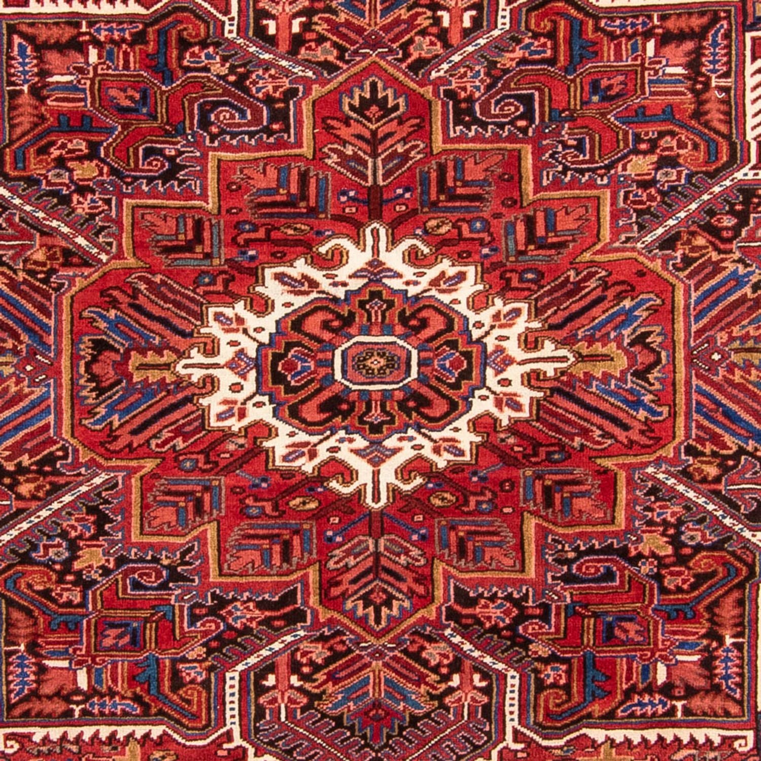 Tapis persan - Nomadic - 330 x 250 cm - rouge foncé