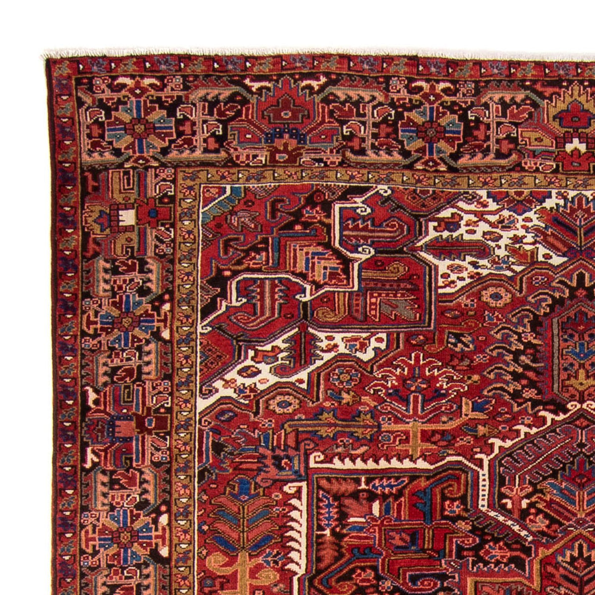 Tapis persan - Nomadic - 330 x 250 cm - rouge foncé