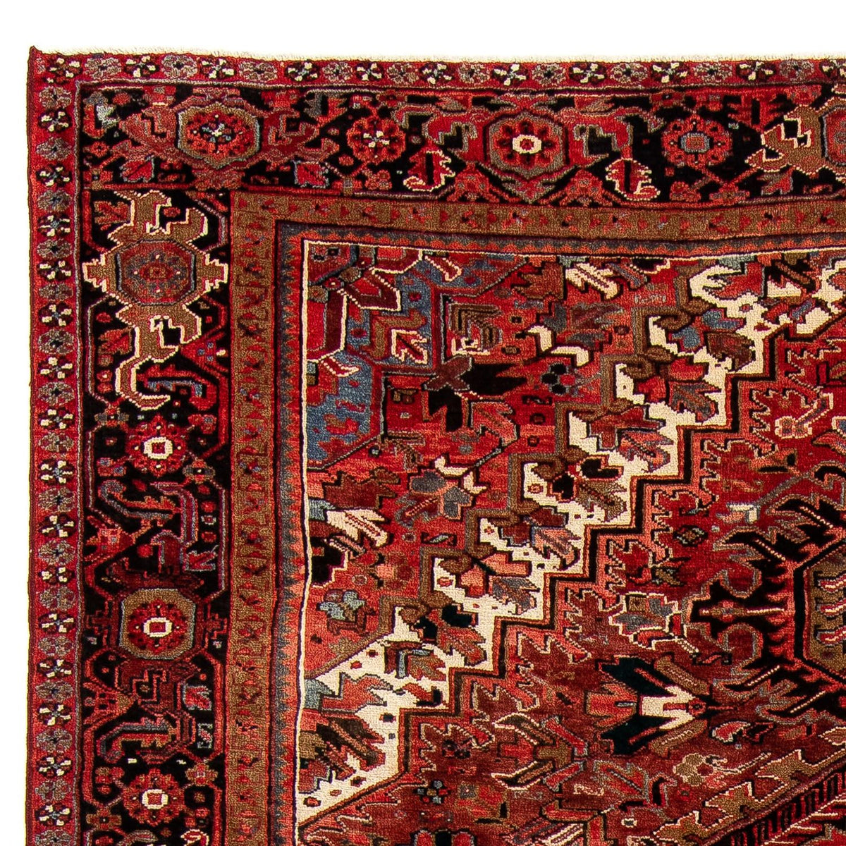 Tapis de Heriz Tapis 295x390cm - Tapis persan