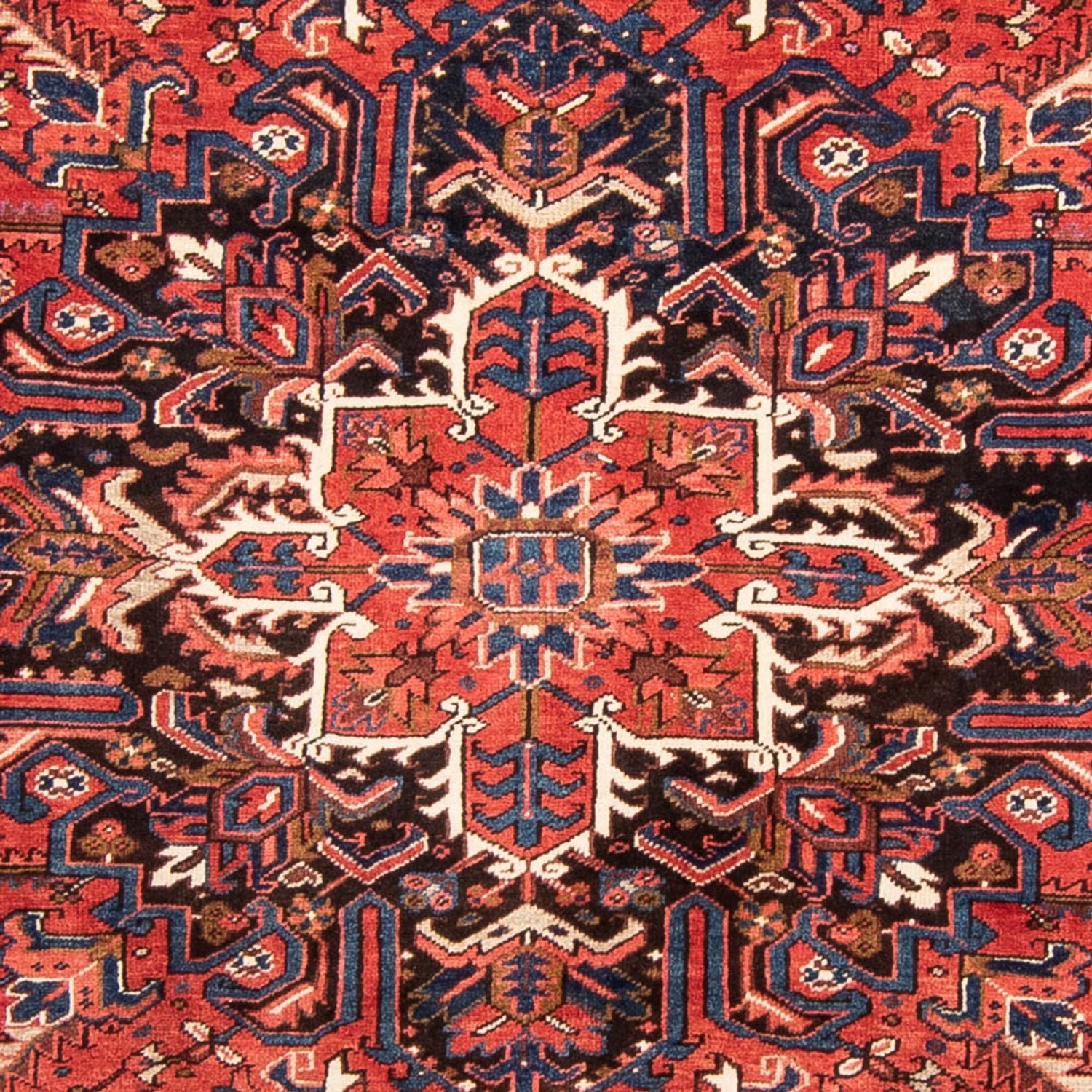Tapis persan - Nomadic - 330 x 229 cm - rouge foncé