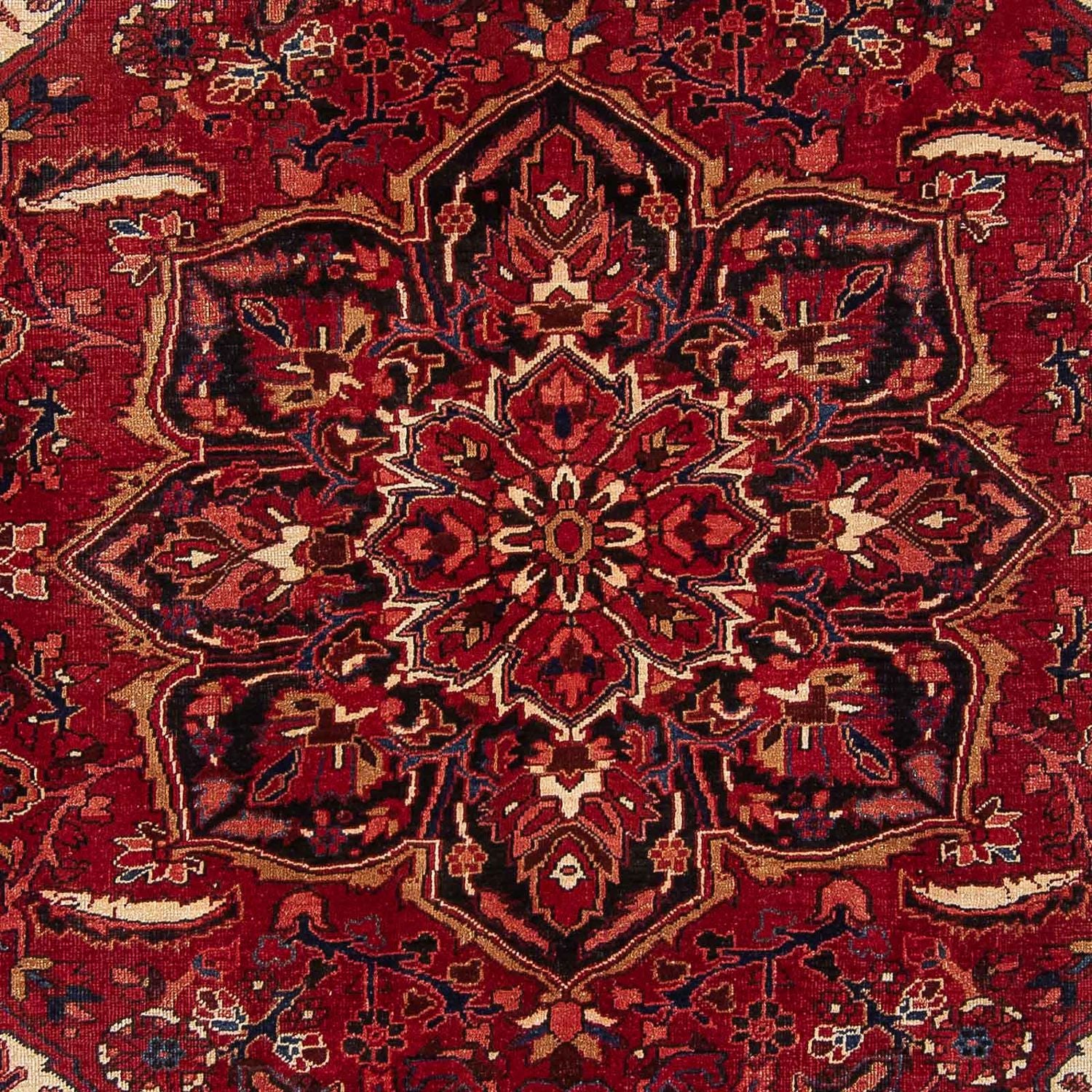 Tapis persan - Nomadic - 347 x 244 cm - rouge foncé