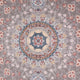 SV15-Rejina-200x100